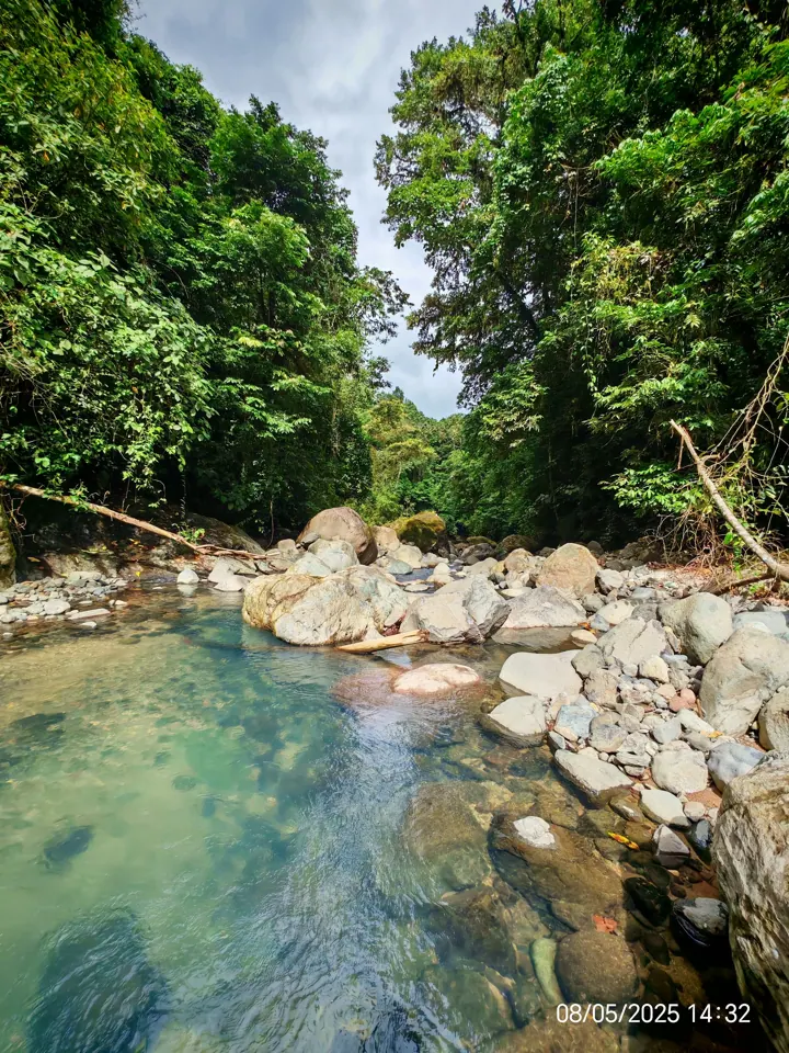 Clear river pool in the jungle