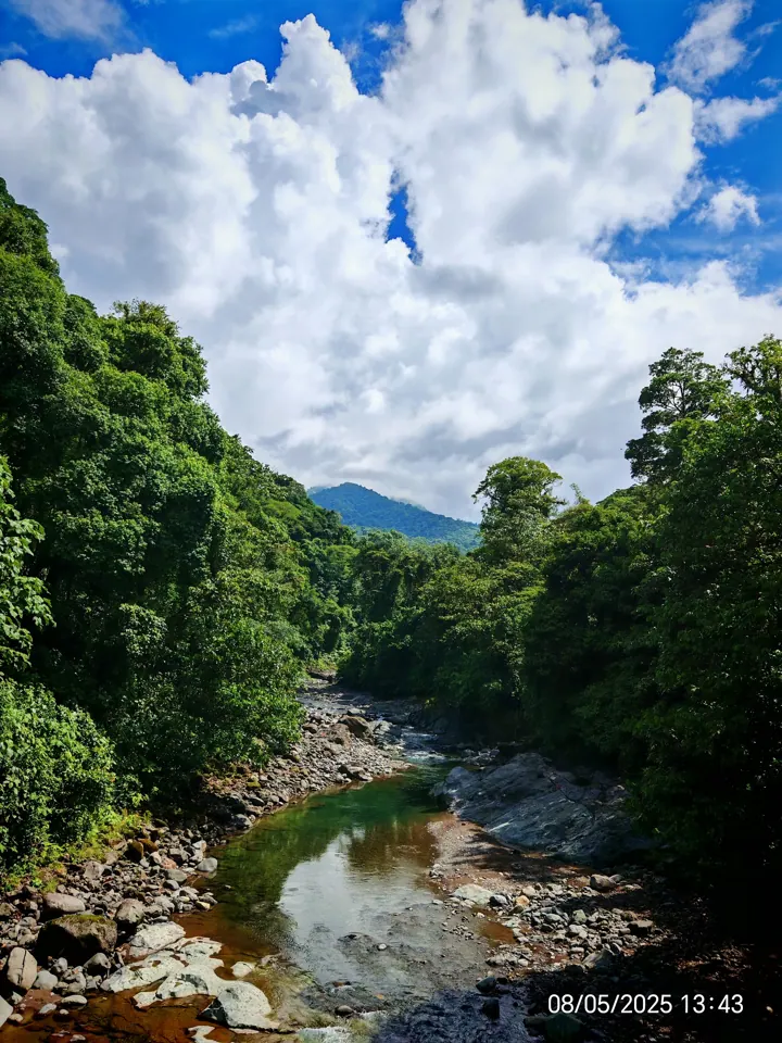 Costa Rica scenery on the route from La Fortuna to Caño Blanco
