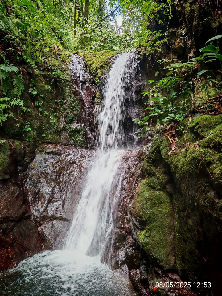 Jungle waterfall in Costa Rica