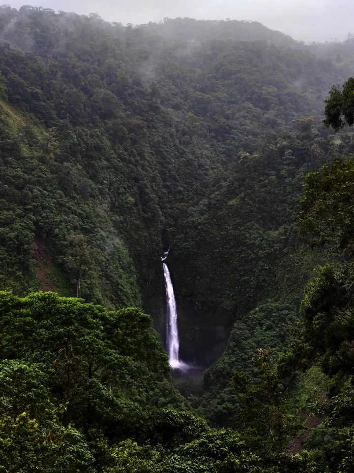 Waterfall in the Costa Rican cloud forest