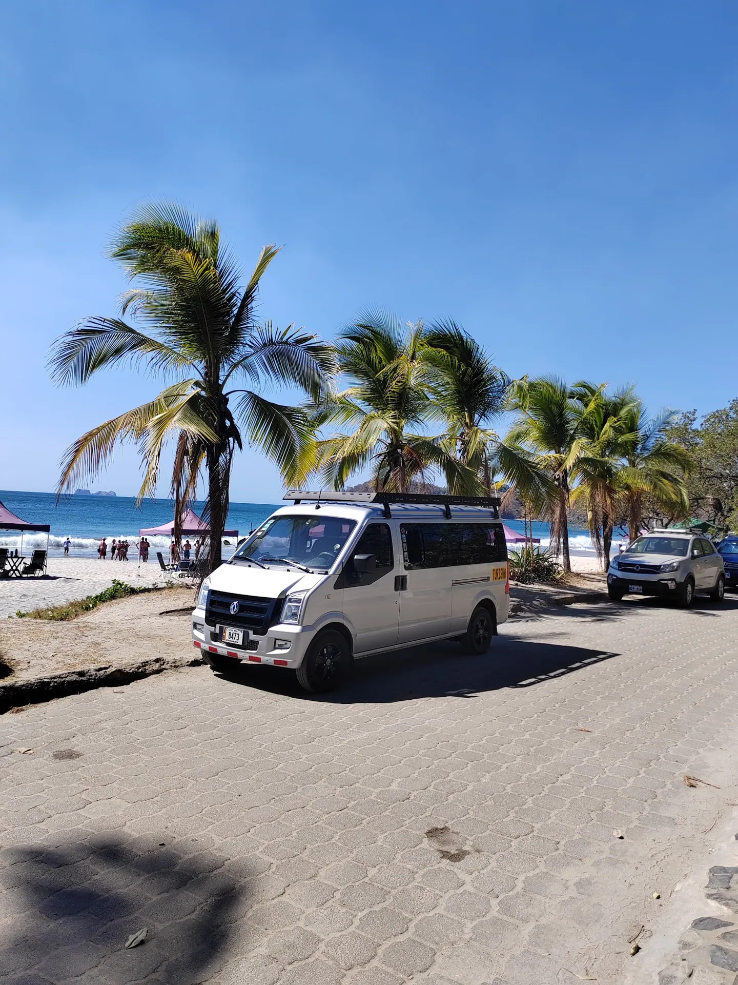 Private van parked by a palm-lined beach