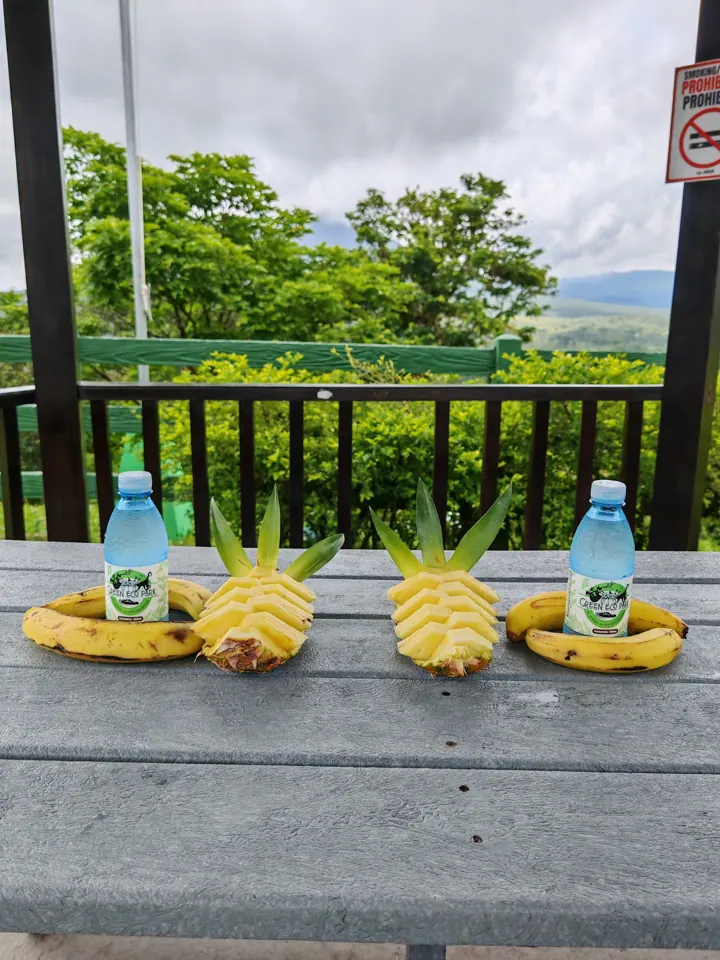 Snacks and bottled water for the ride