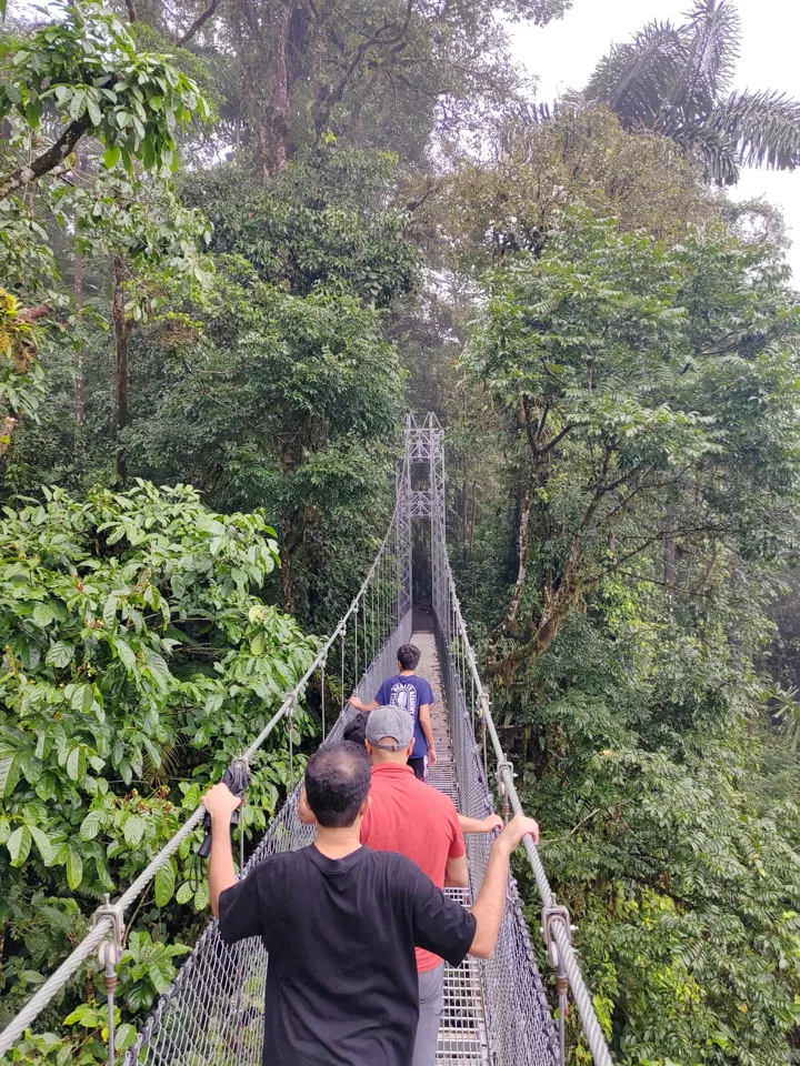 Hanging bridge through the rainforest