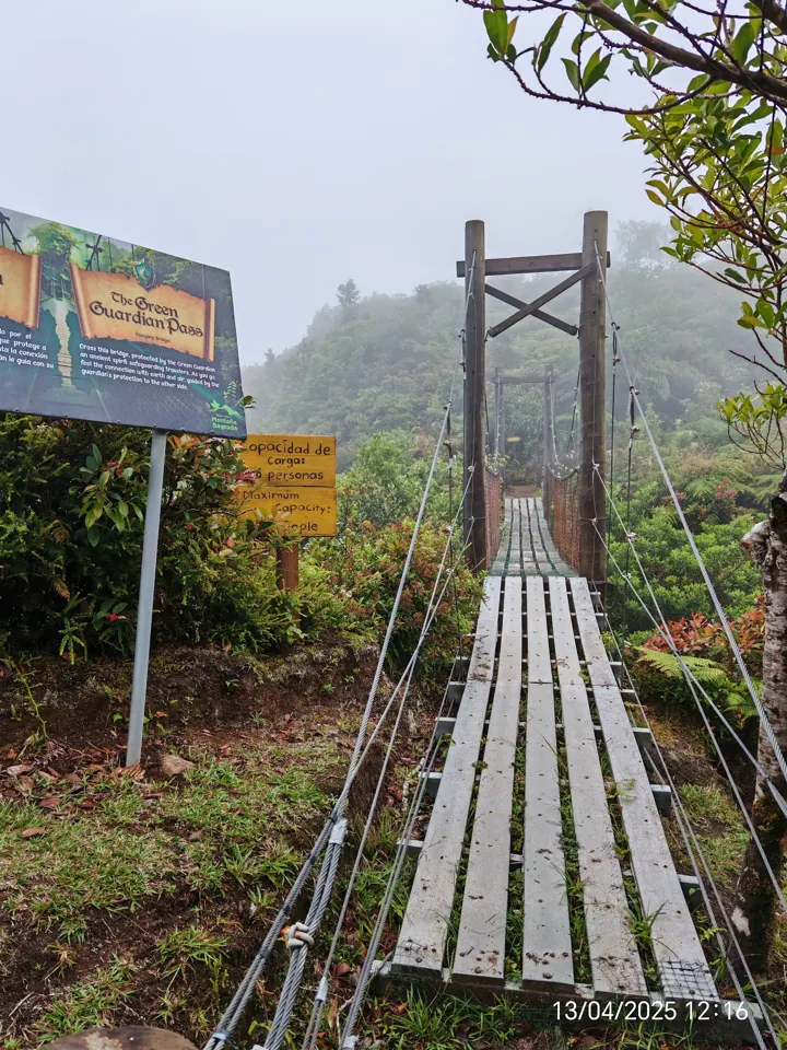 Hanging bridge in the cloud forest