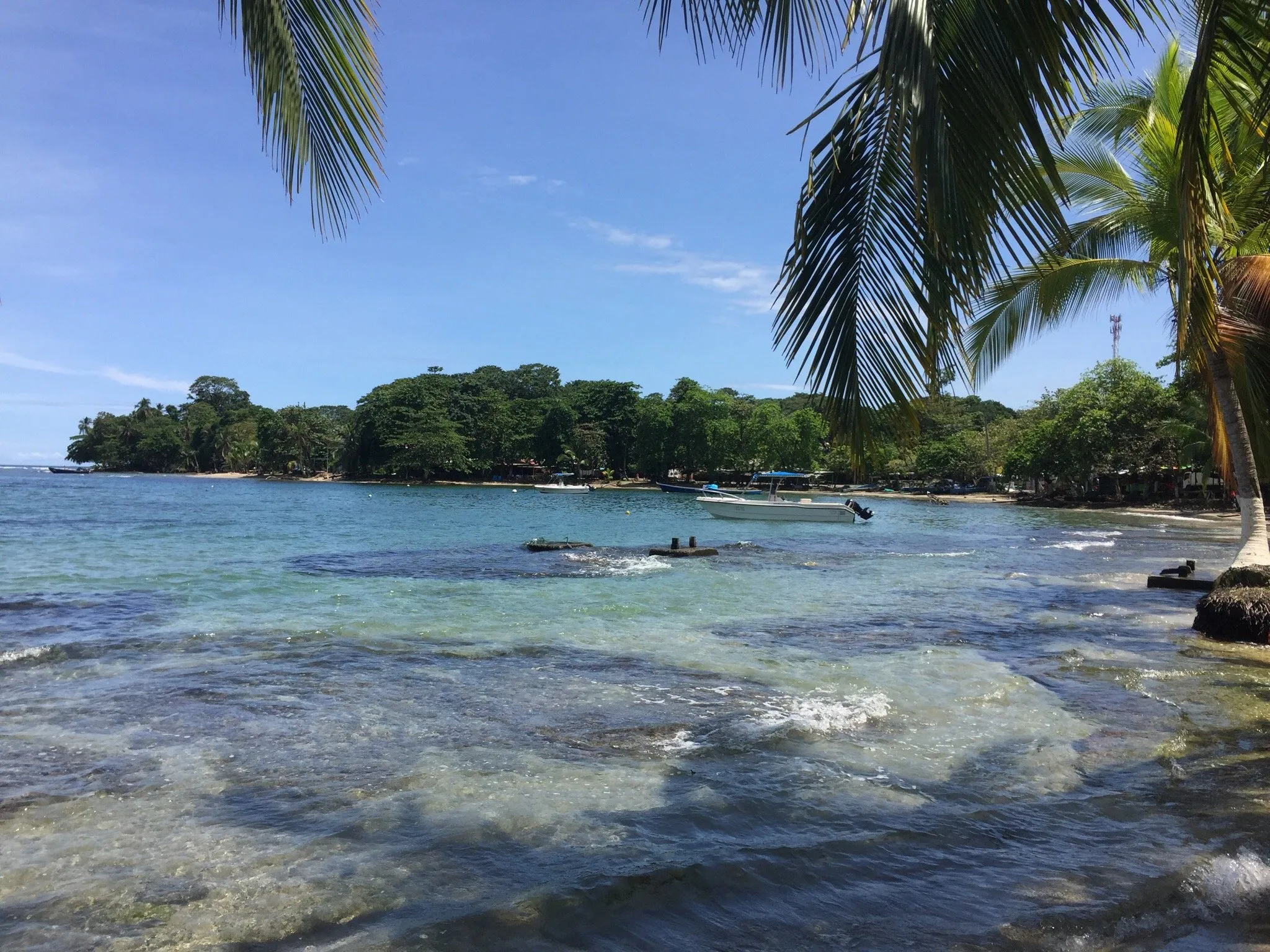 San José to Puerto Viejo